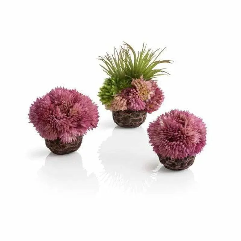 biOrb coral ball set purple