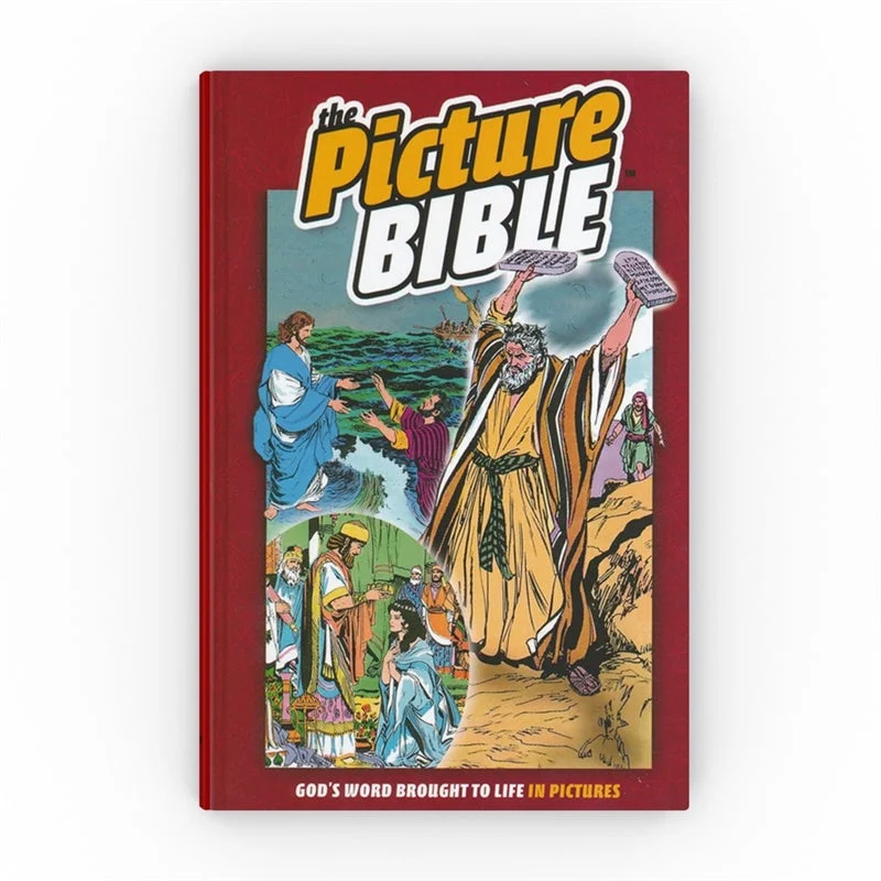 The Picture Bible - Hardcover