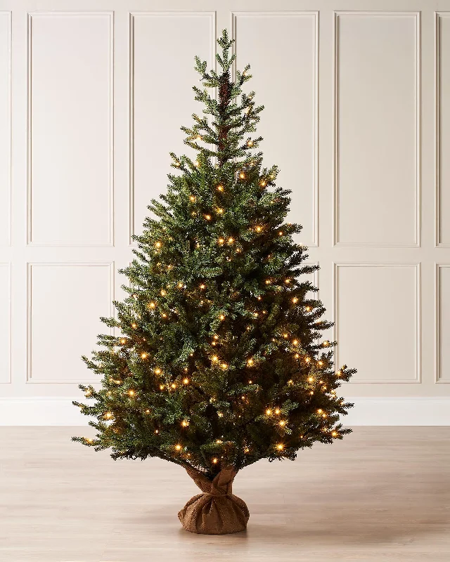 Pre-Lit Norway Spruce Potted Christmas Tree, 6 ft