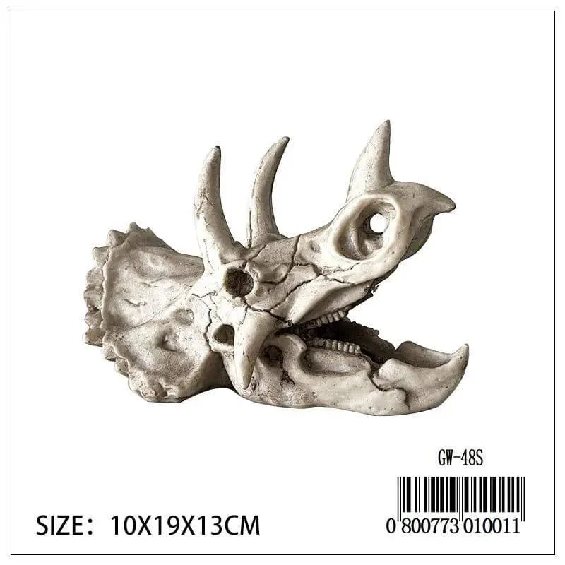 Triceratop Skull Small